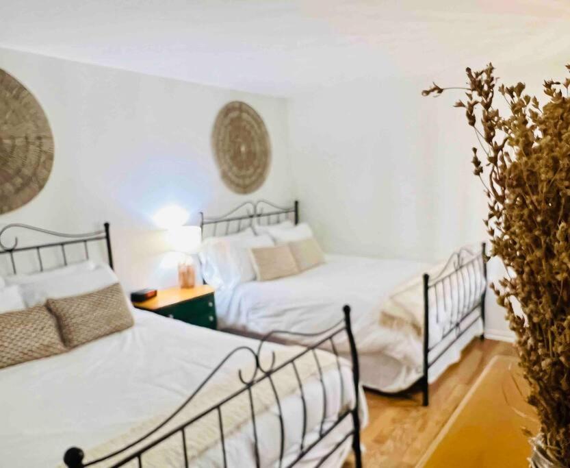 Apartament P Tit Boreal- 2 Minutes De La Plage Memphremagog Zewnętrze zdjęcie
