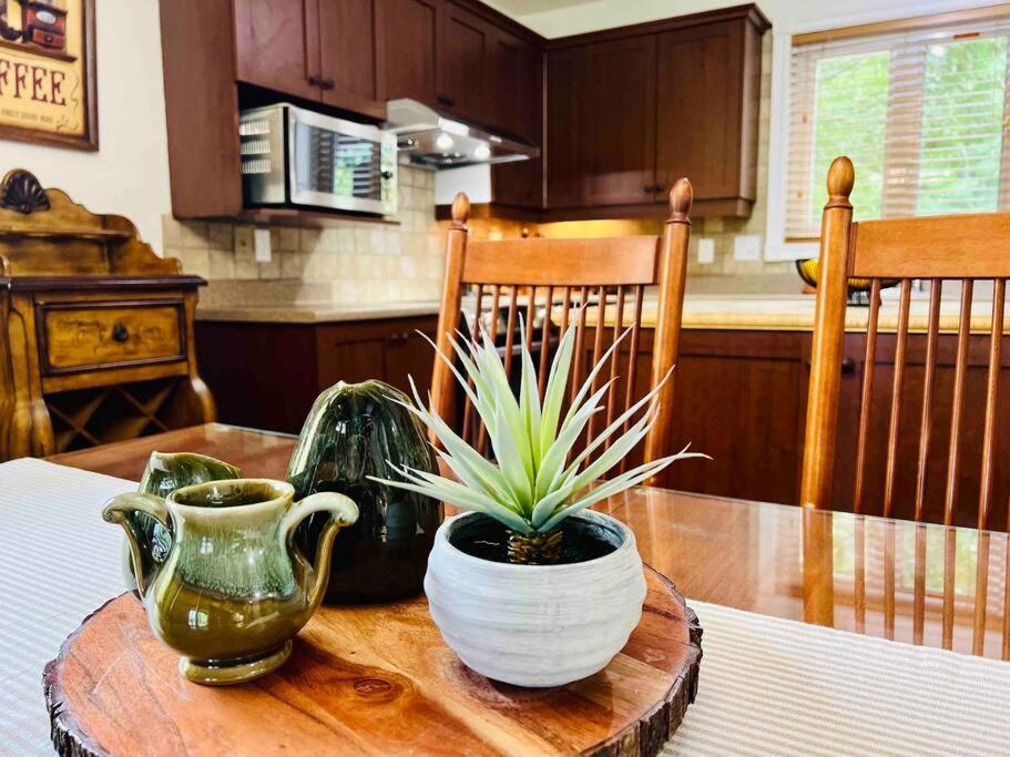 Apartament P Tit Boreal- 2 Minutes De La Plage Memphremagog Zewnętrze zdjęcie